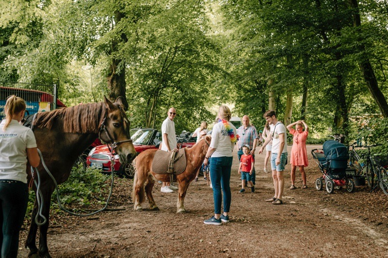 Zwei Pferde stehen in einer Gruppe von Menschen im Wald.