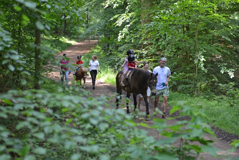 Gruppe von Reiter:innen und Begleiter:innen, die auf einem Waldweg mit Pferden unterwegs sind.